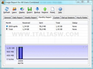 NetWorx - Usage Report