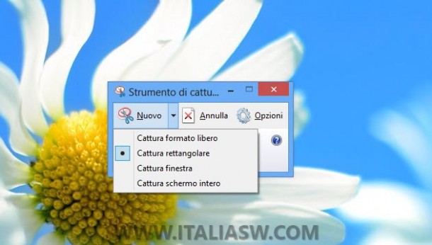 Windows 8 - Cattura Schermata - 00