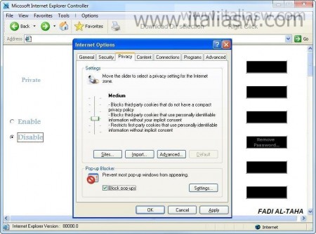 Screenshot - Internet Explorer Controller - 01