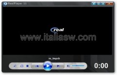 RealPlayer Vista Skin