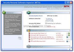 Secunia PSI ScreenShot