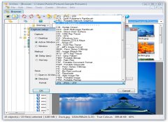XnView ScreenShots Maker