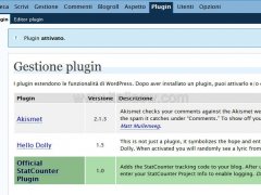 StatCounter Plugin - Attivazione