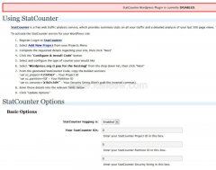StatCounter Plugin - Visualizzazione su WP23