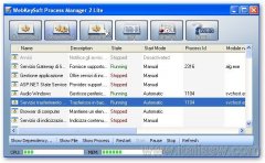 Process manager Lite 02