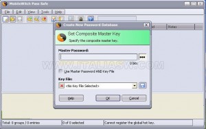 MobileWitch Pass Safe - PWD Master