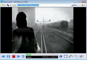 nFLVPlayer 