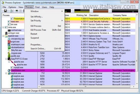 Screenshot - Process Explorer