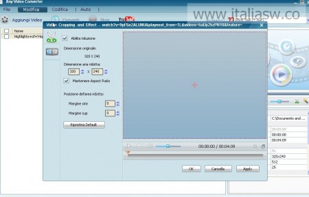 Screenshot - AnyVideo - 04