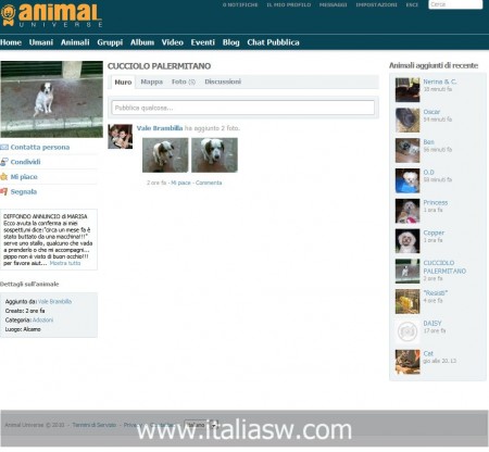 Screenshot - Animal Universe - 02